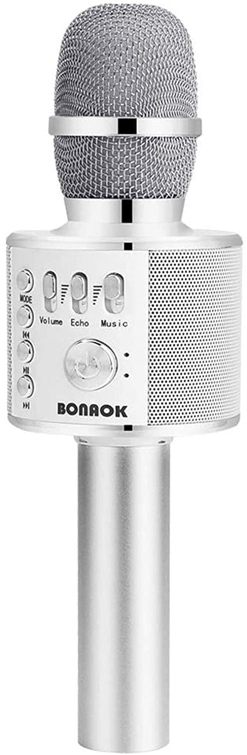 Bluetooth Karaoke Microphone Longwood Public Library